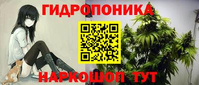 дурь Тверь
