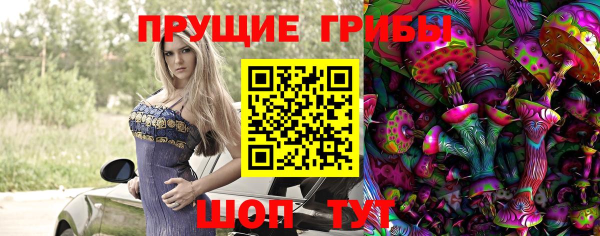 Новошахтинск  Галлюциногенные грибы Cubensis  Вход с VPN  Галлюциногенные грибы Cubensis 
