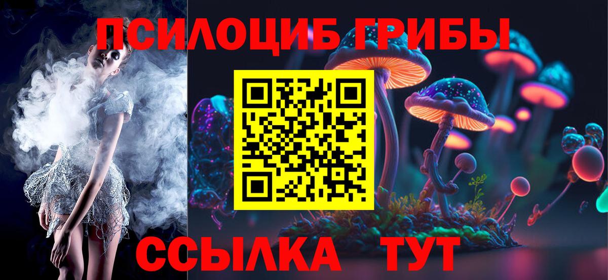 Псилоцибиновые грибы ЛСД Новошахтинск